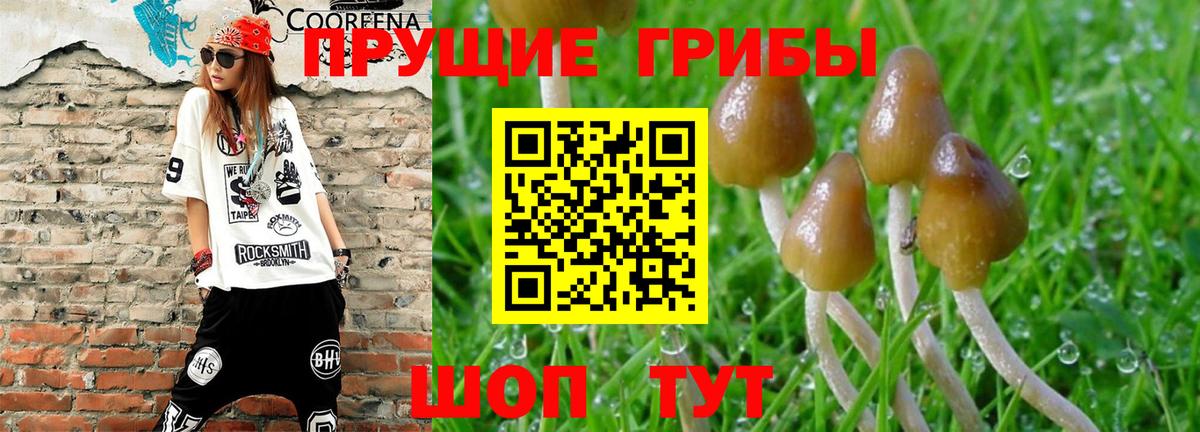 Нижнеудинск  Галлюциногенные грибы MAGIC MUSHROOMS  Вход с VPN  Галлюциногенные грибы Psilocybe 